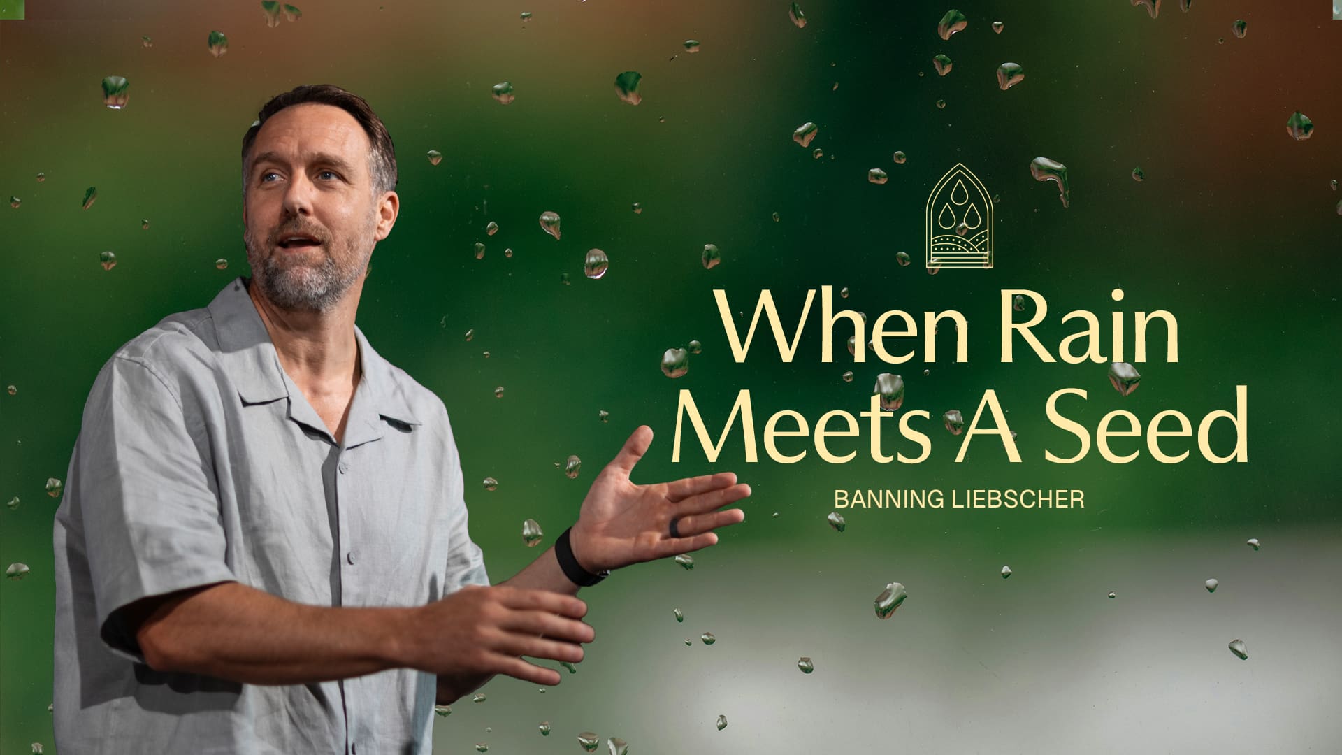When Rain Meets a Seed Pt. 2 - Graphic