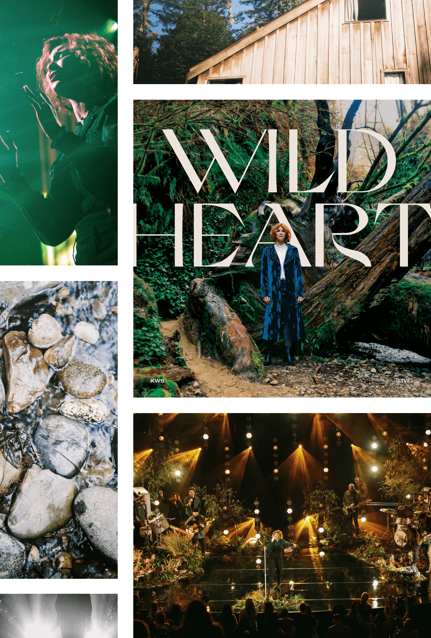 The Wild Heart – The Wild Heart